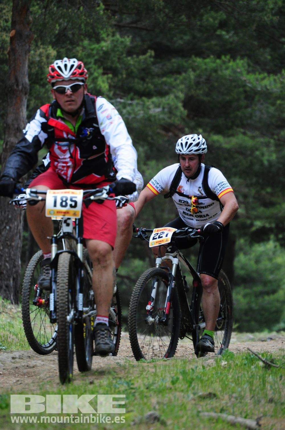 Maratón Test The Best 2014-10