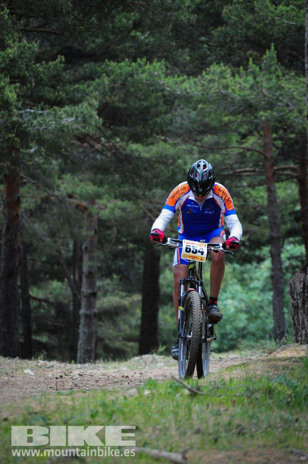 Maratón Test The Best 2014-10