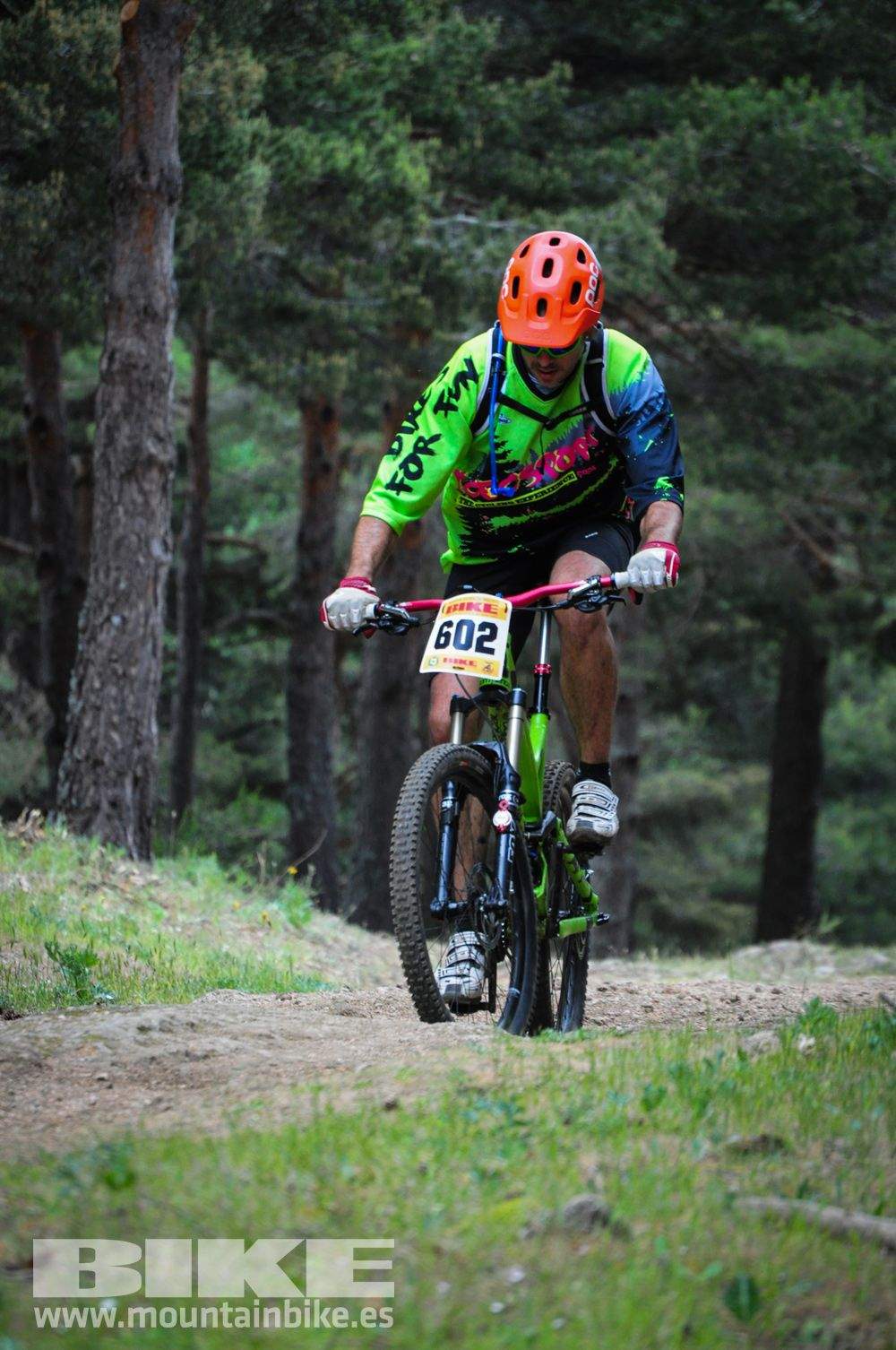 Maratón Test The Best 2014-10
