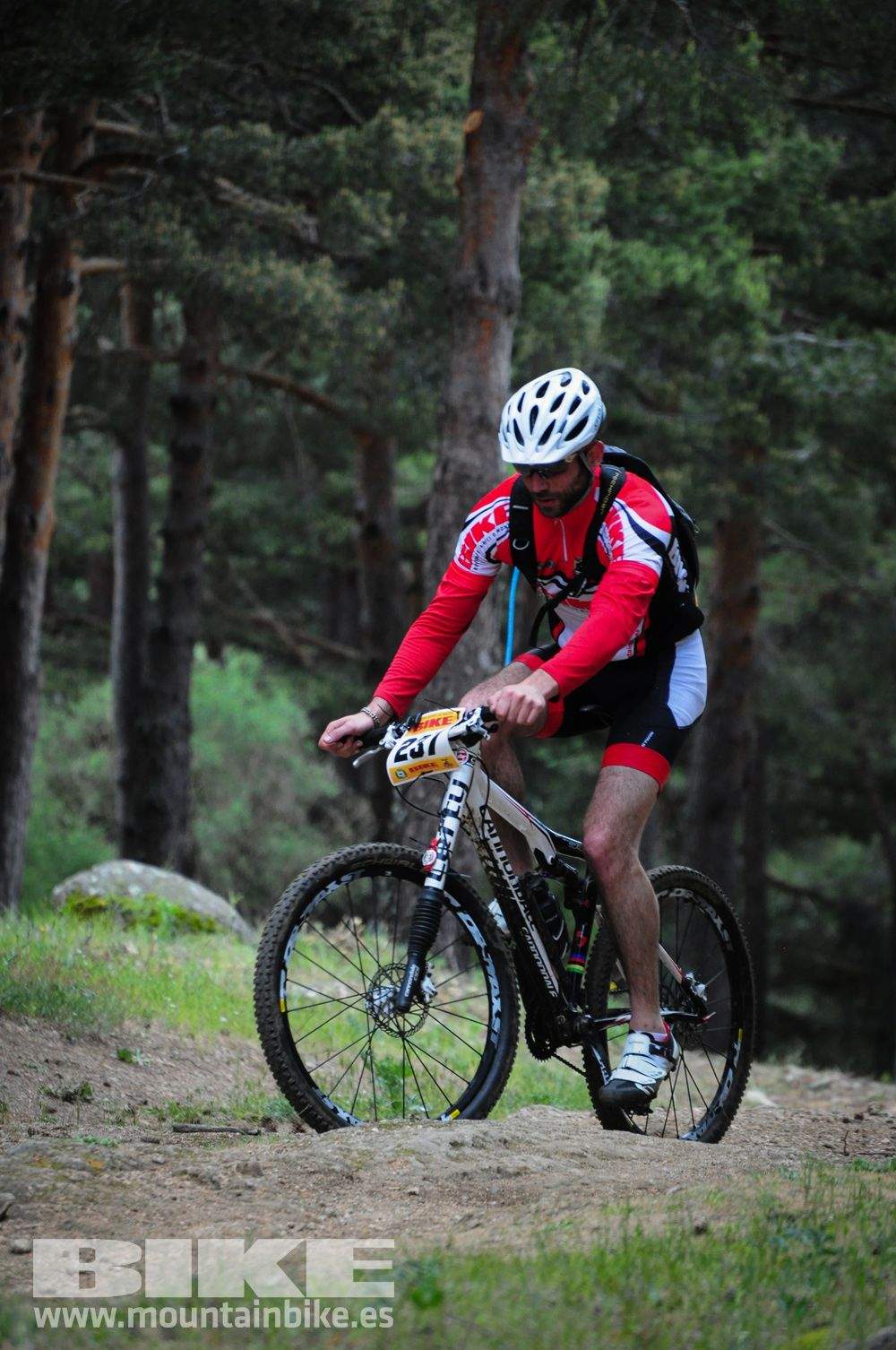 Maratón Test The Best 2014-10