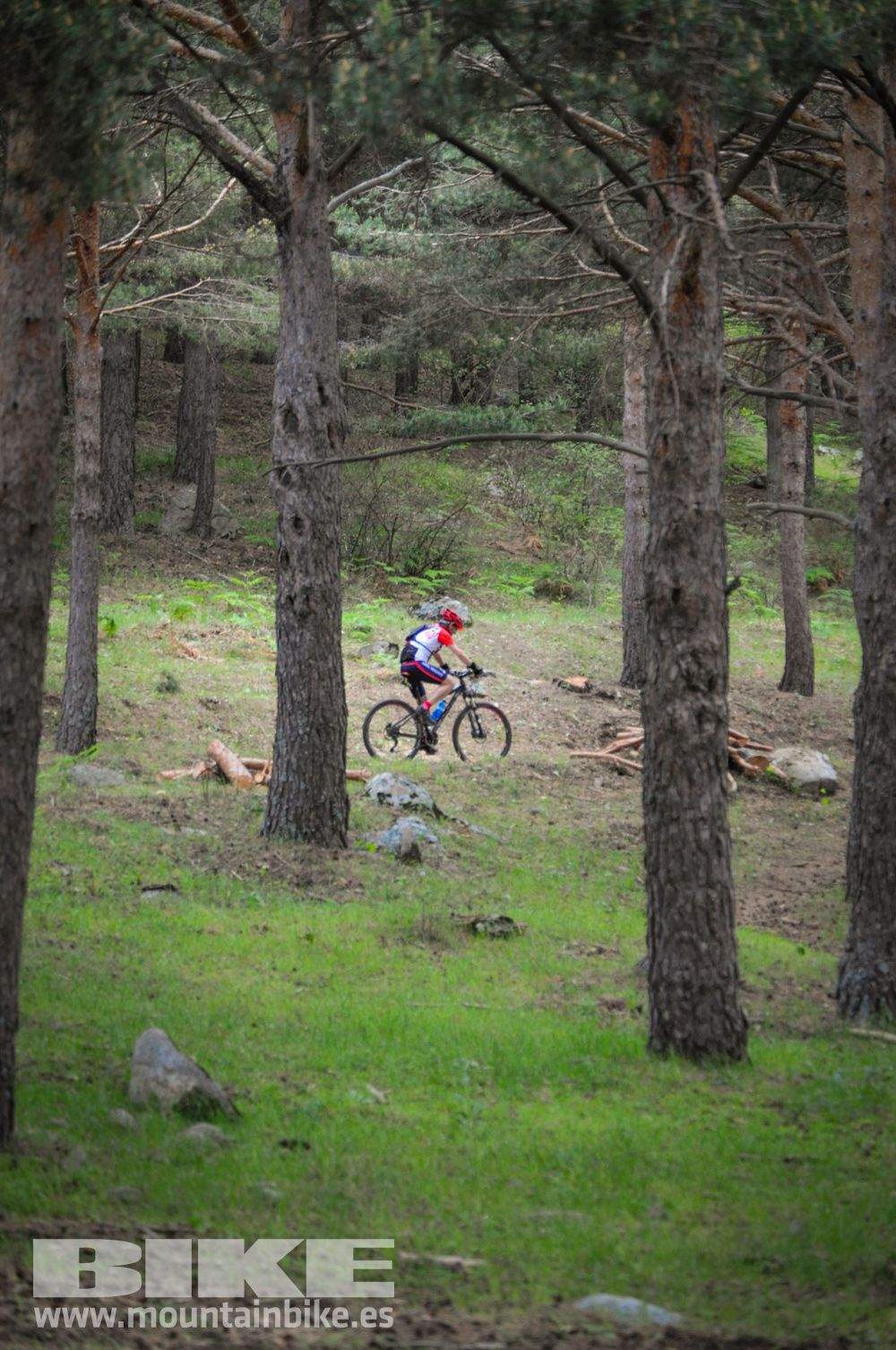 Maratón Test The Best 2014-10