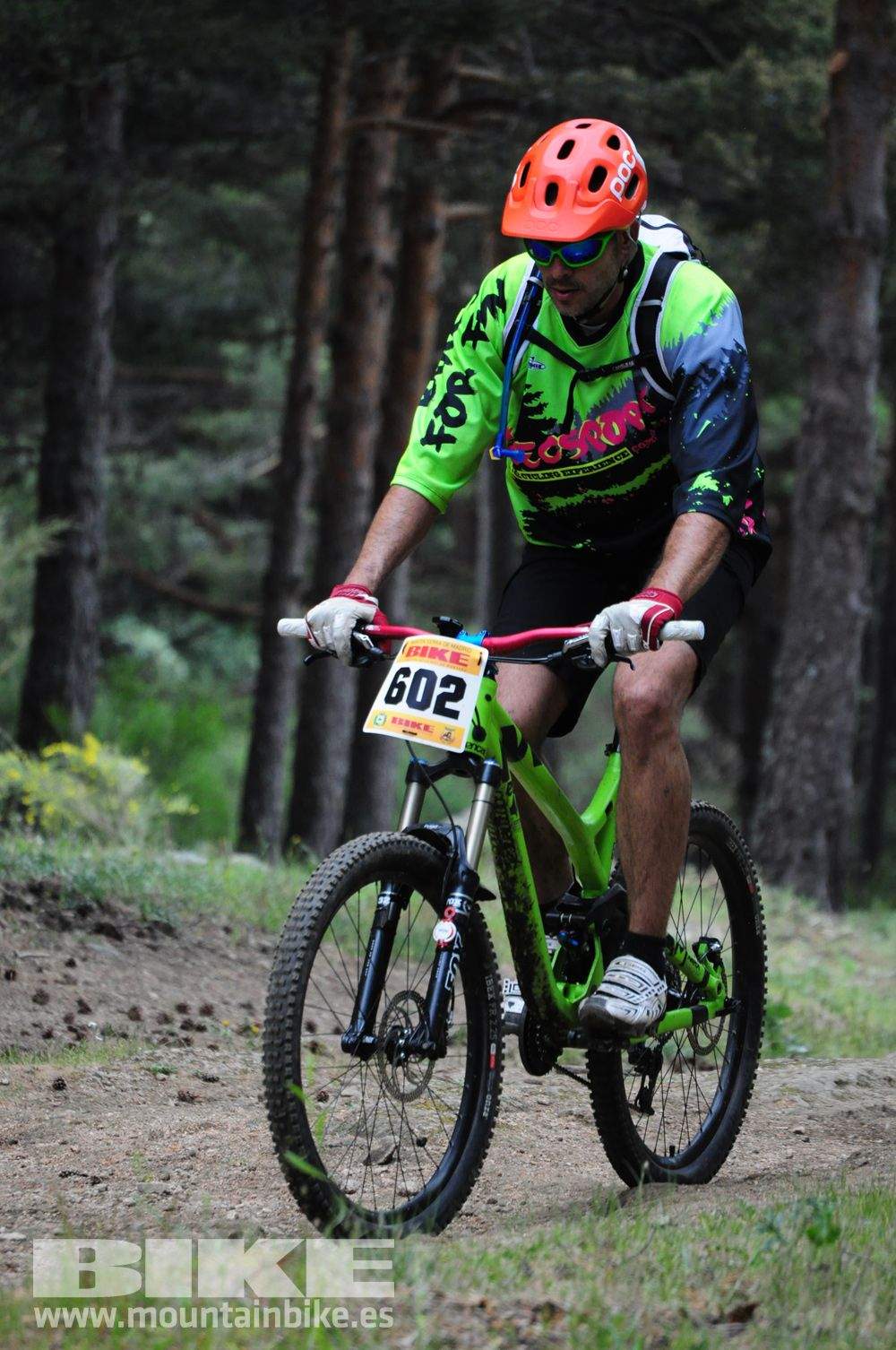 Maratón Test The Best 2014-10