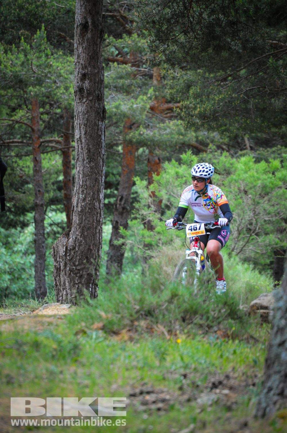 Maratón Test The Best 2014-10