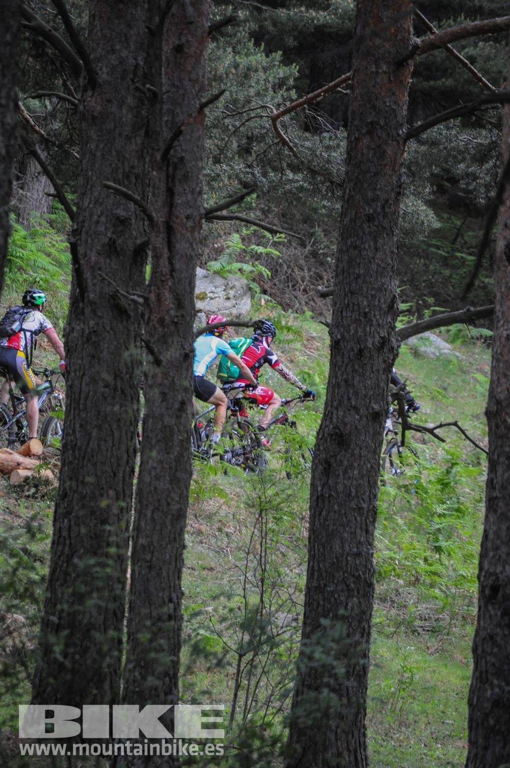 Maratón Test The Best 2014-10