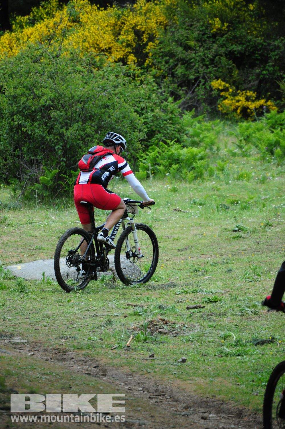 Maratón Test The Best 2014-10