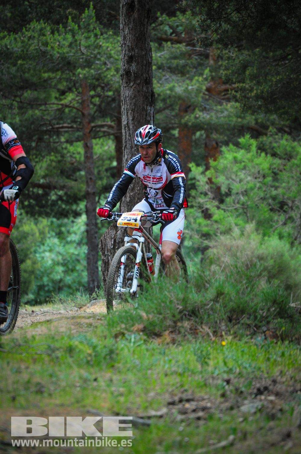 Maratón Test The Best 2014-10