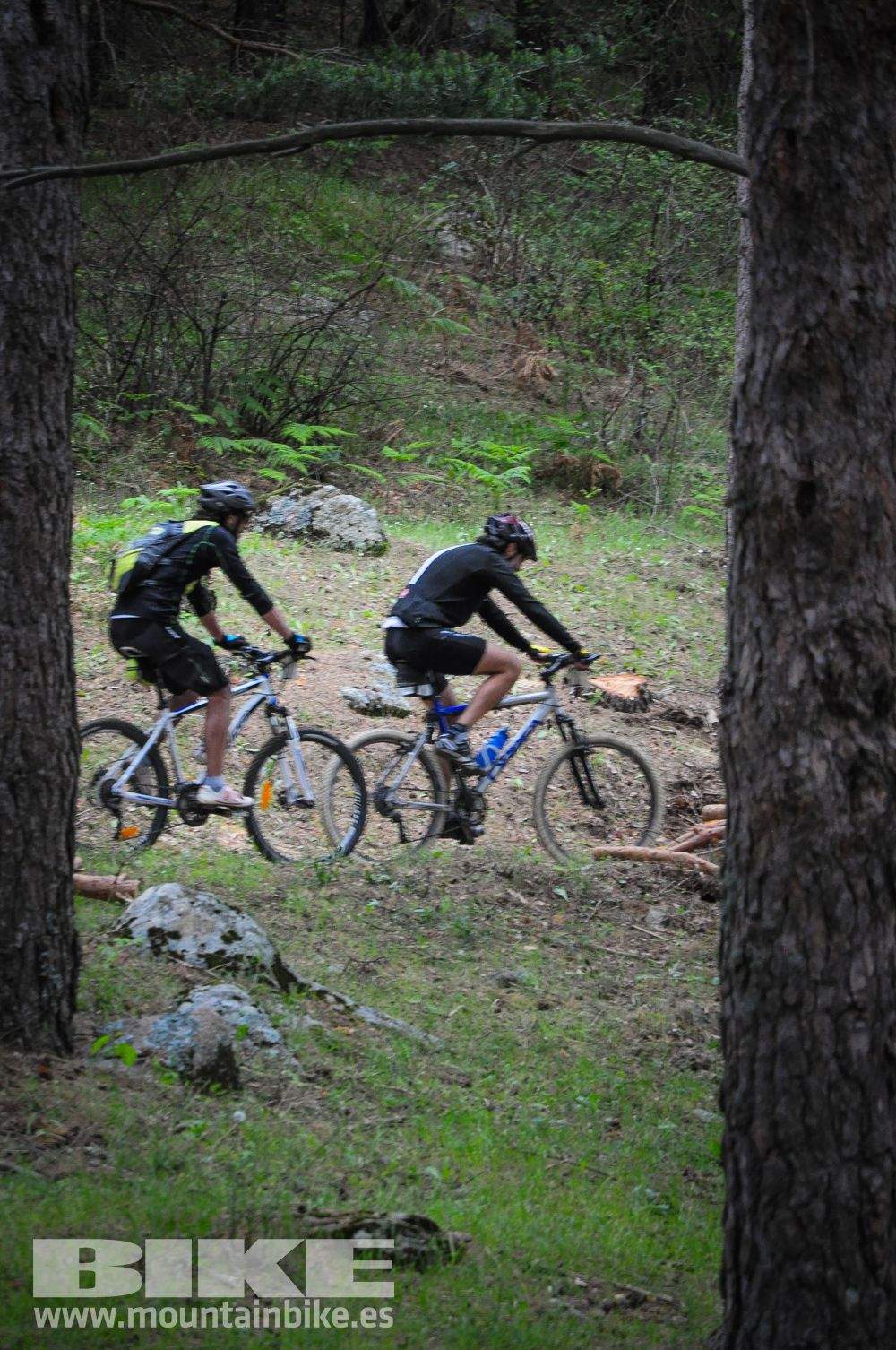 Maratón Test The Best 2014-10