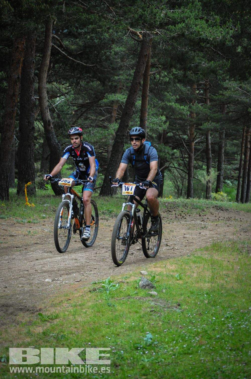 Maratón Test The Best 2014-10