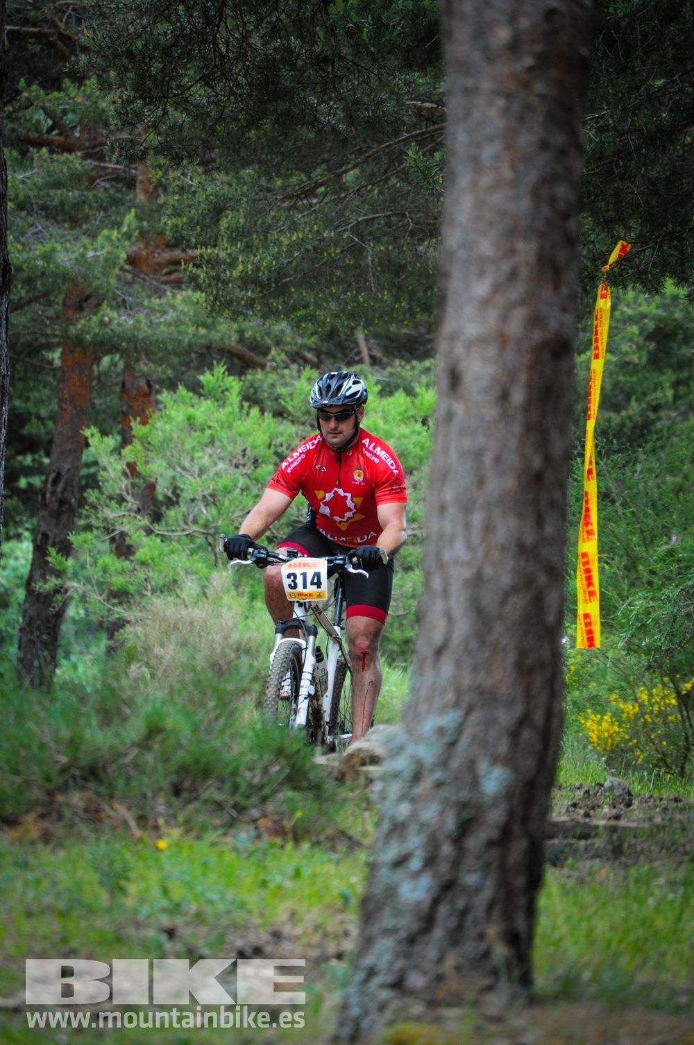 Maratón Test The Best 2014-10