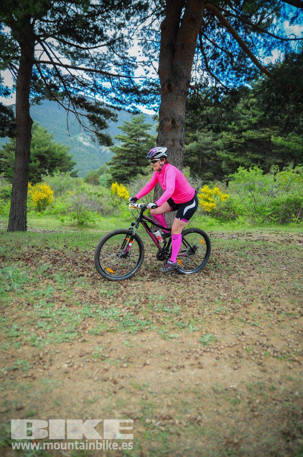 Maratón Test The Best 2014-10