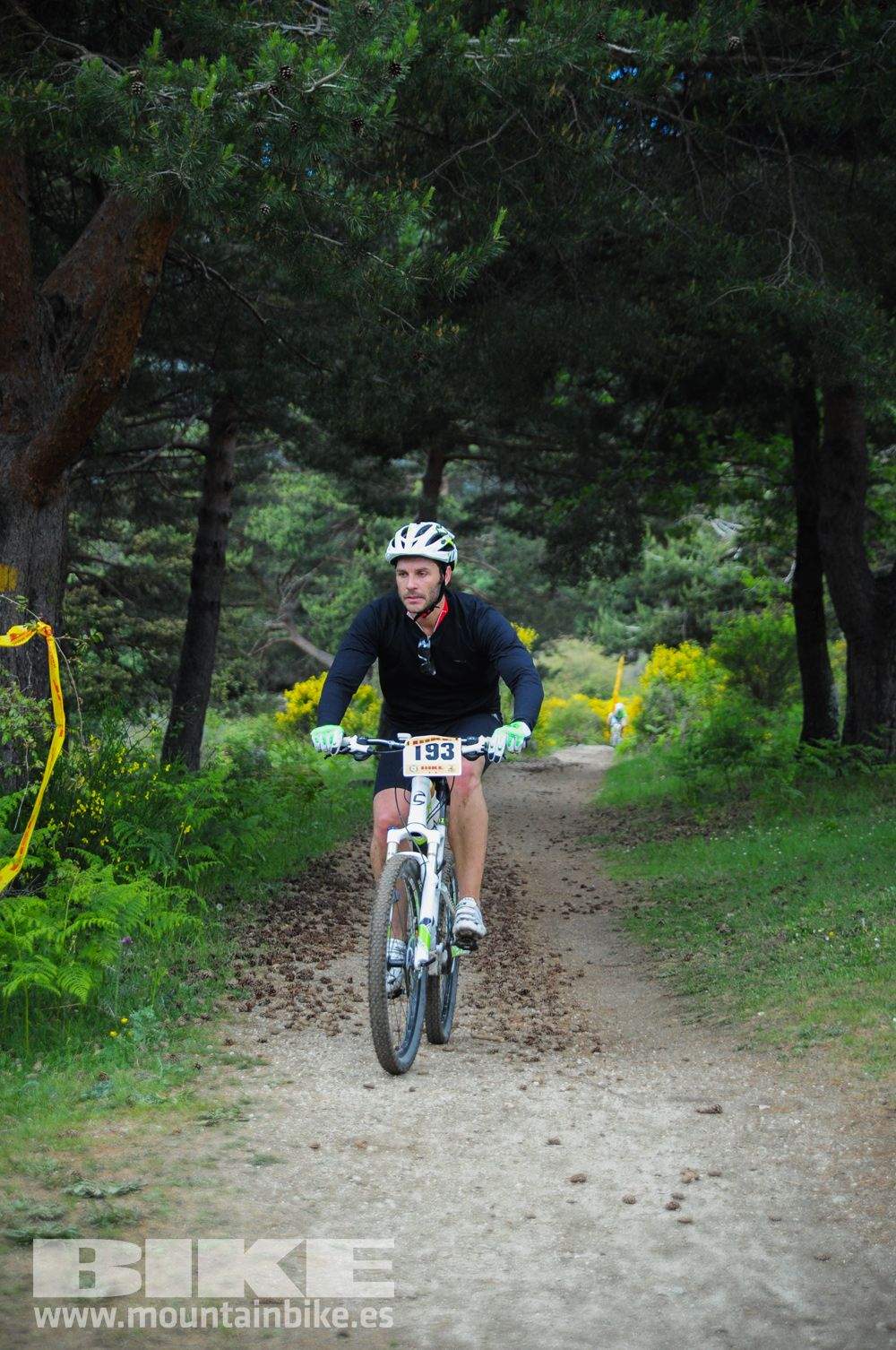 Maratón Test The Best 2014-10