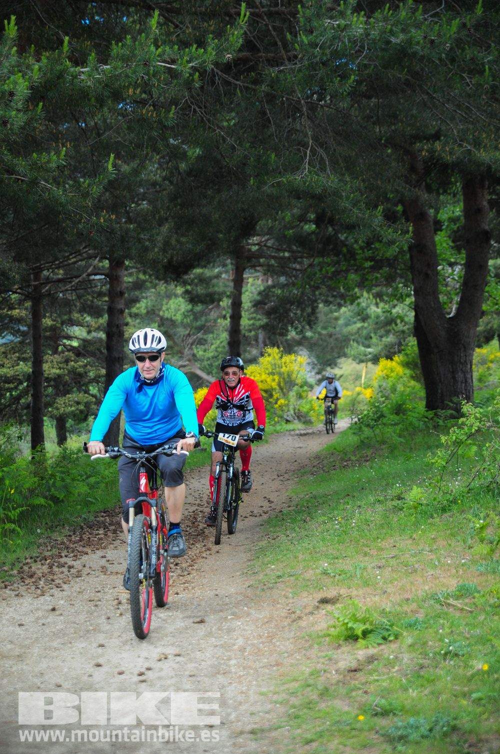 Maratón Test The Best 2014-10