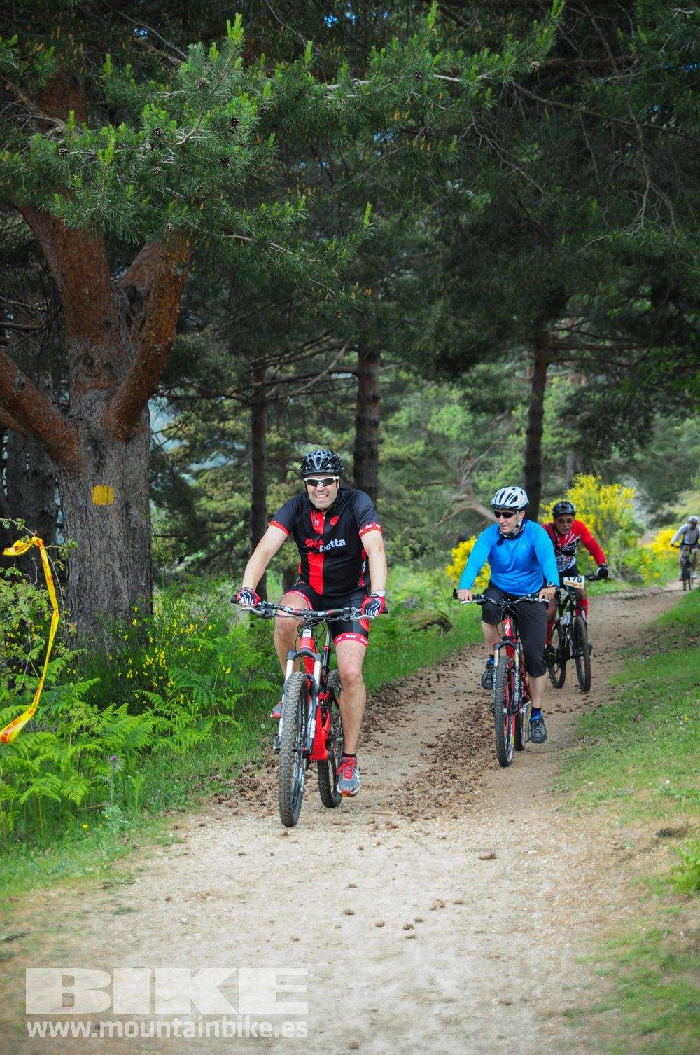Maratón Test The Best 2014-10