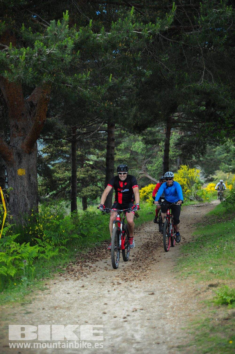 Maratón Test The Best 2014-10