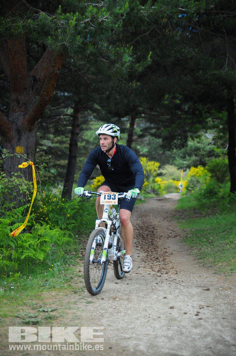 Maratón Test The Best 2014-10