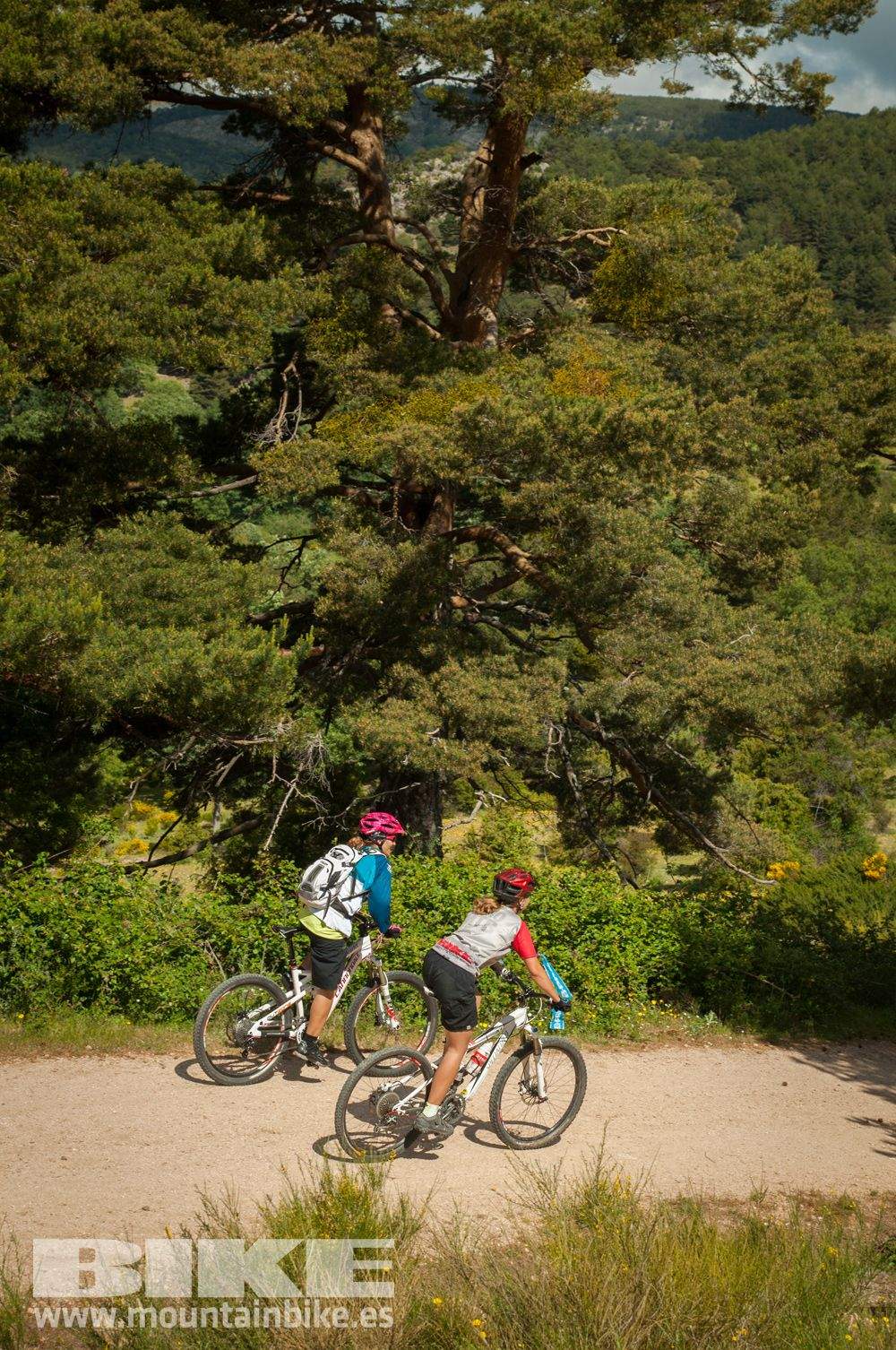 MTB mujer Test The Best 2014-3