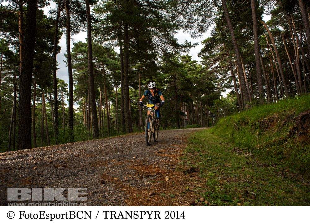 Transpyr 2014
