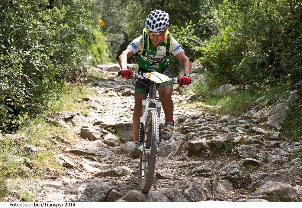 Transpyr 2014