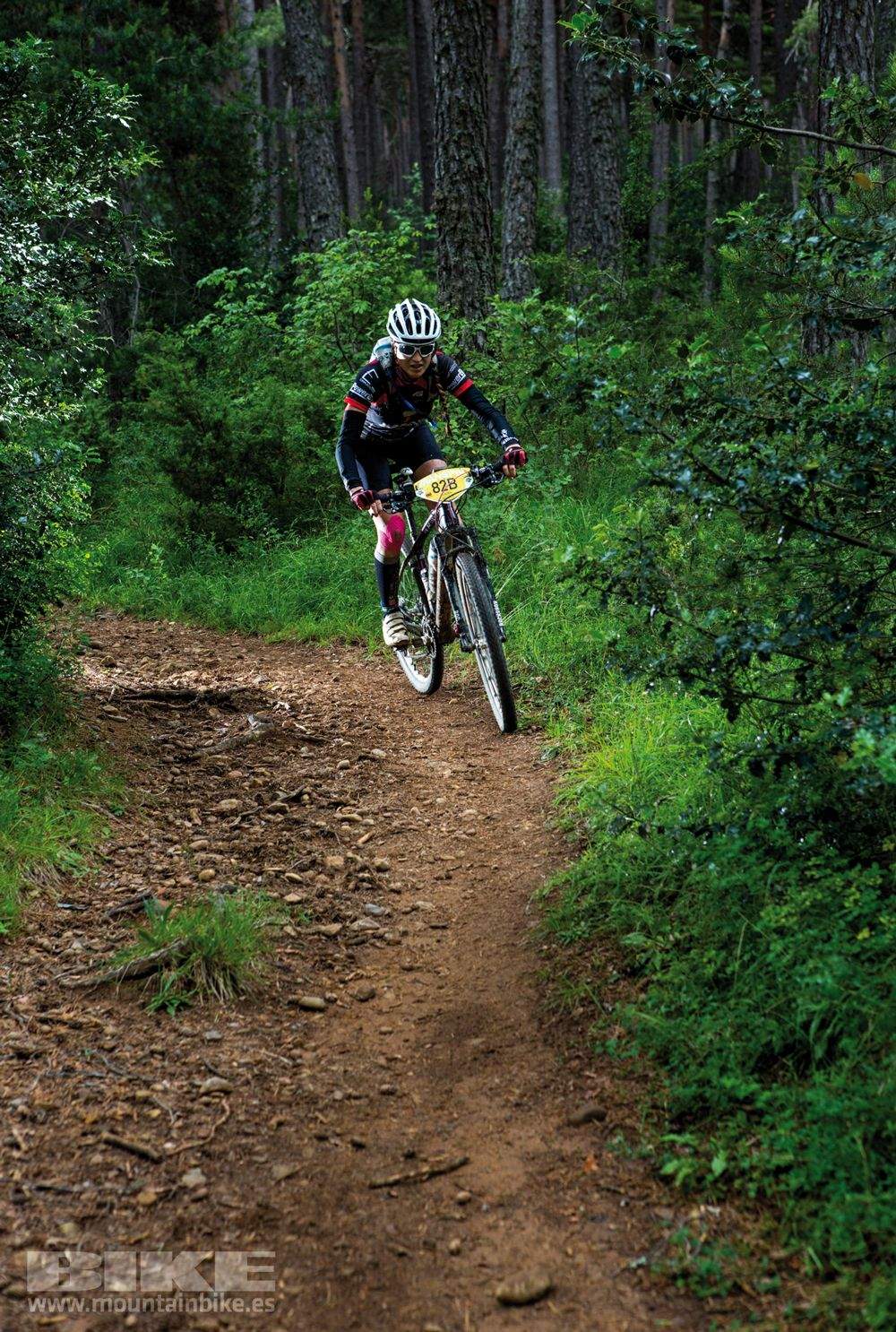 Transpyr 2014