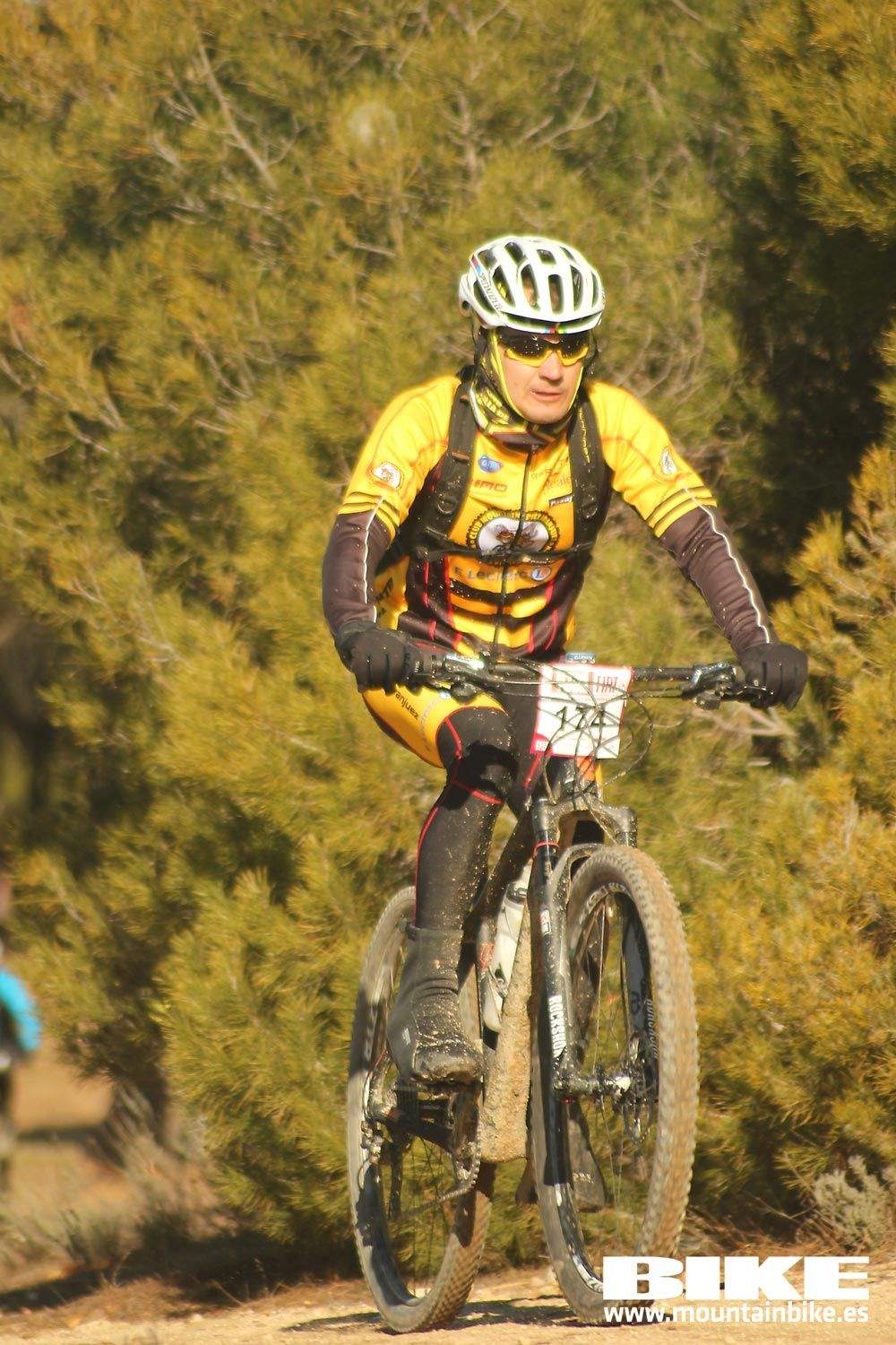 Valdemorillo 2015 Galeria 1