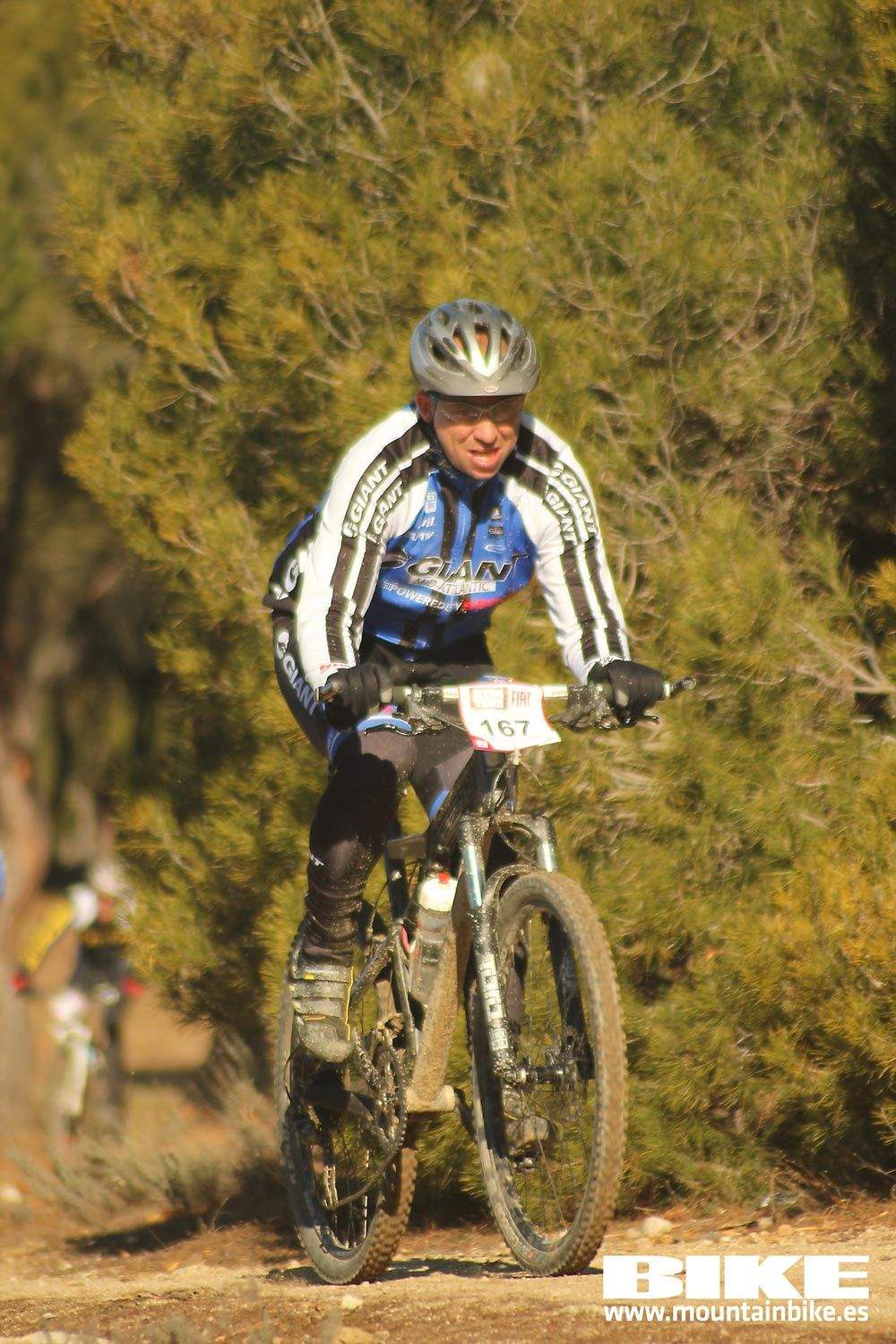 Valdemorillo 2015 Galeria 1