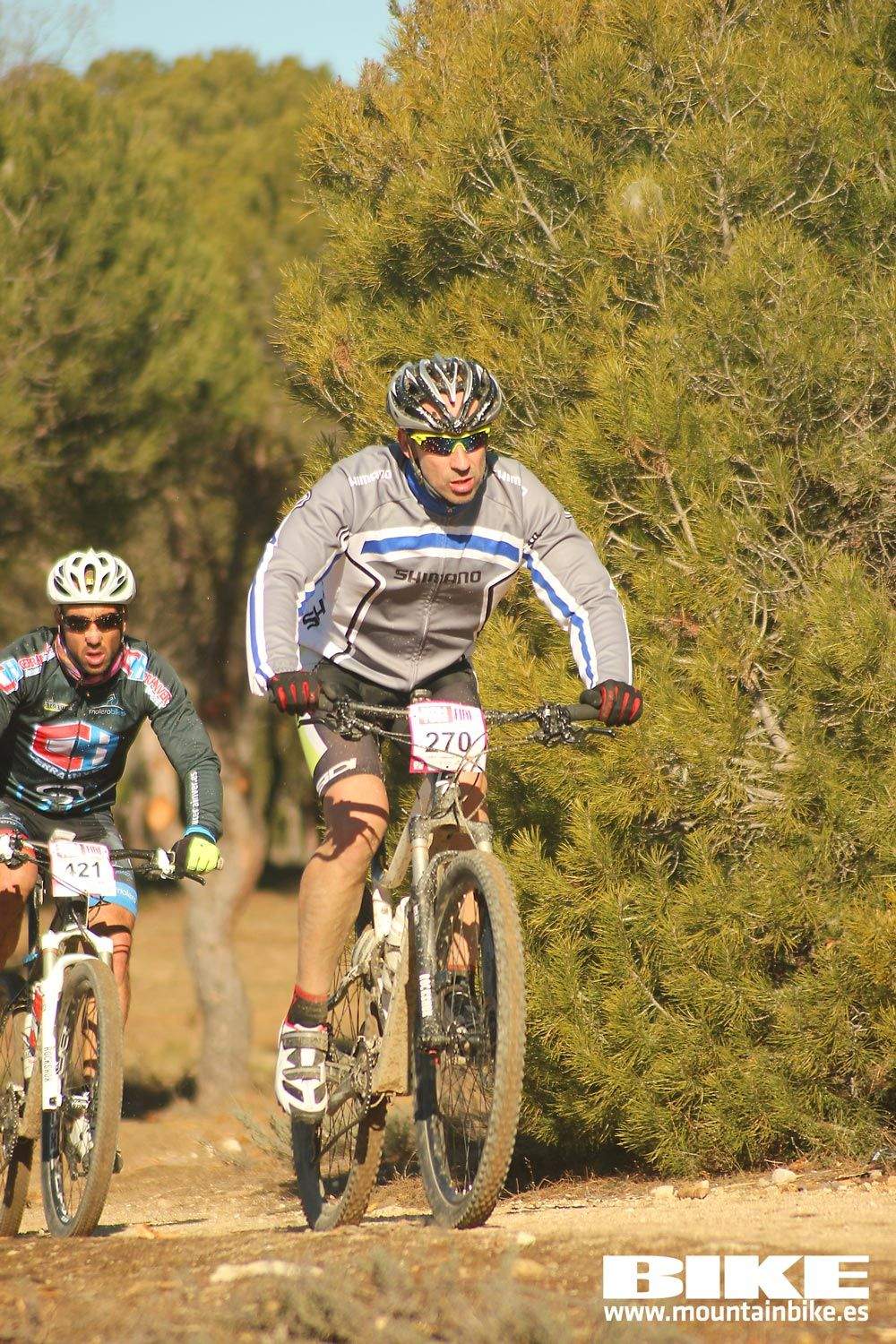 Valdemorillo 2015 Galeria 1