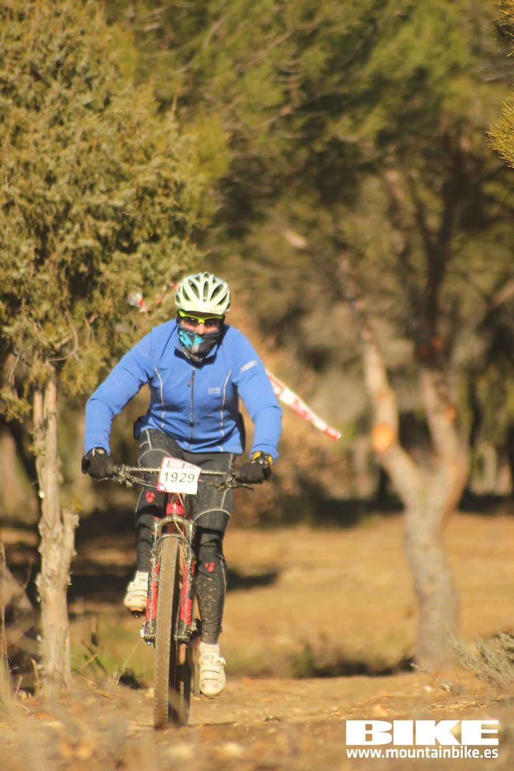 Valdemorillo 2015 Galeria 1