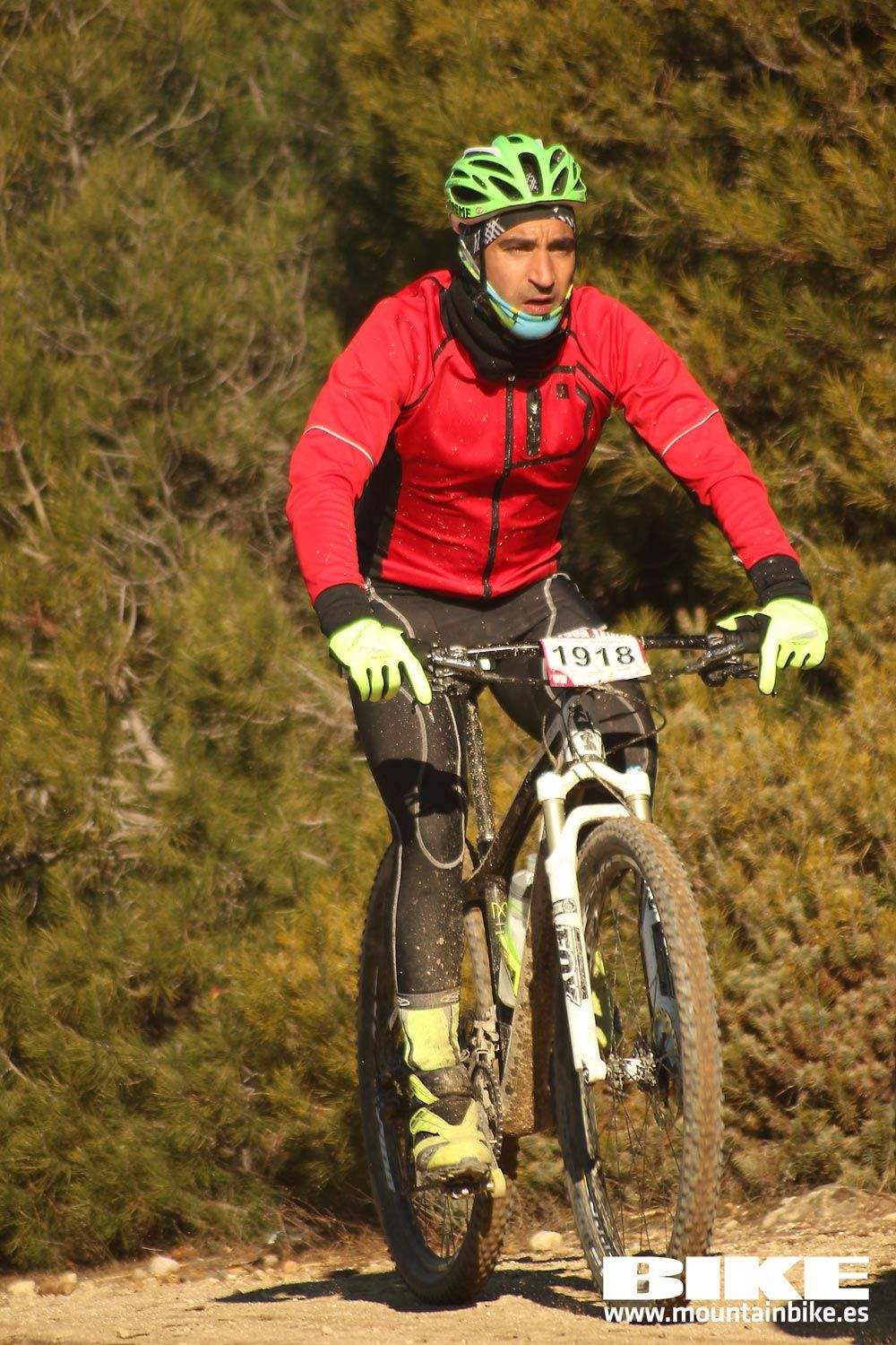 Valdemorillo 2015 Galeria 1