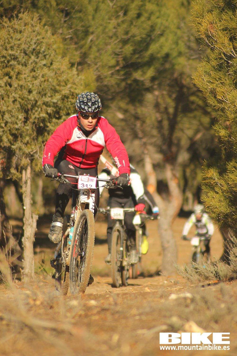 Valdemorillo 2015 Galeria 1