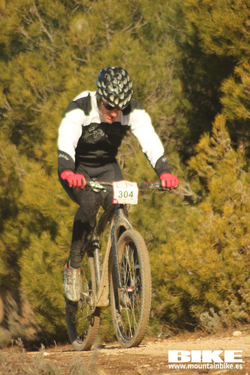 Valdemorillo 2015 Galeria 1