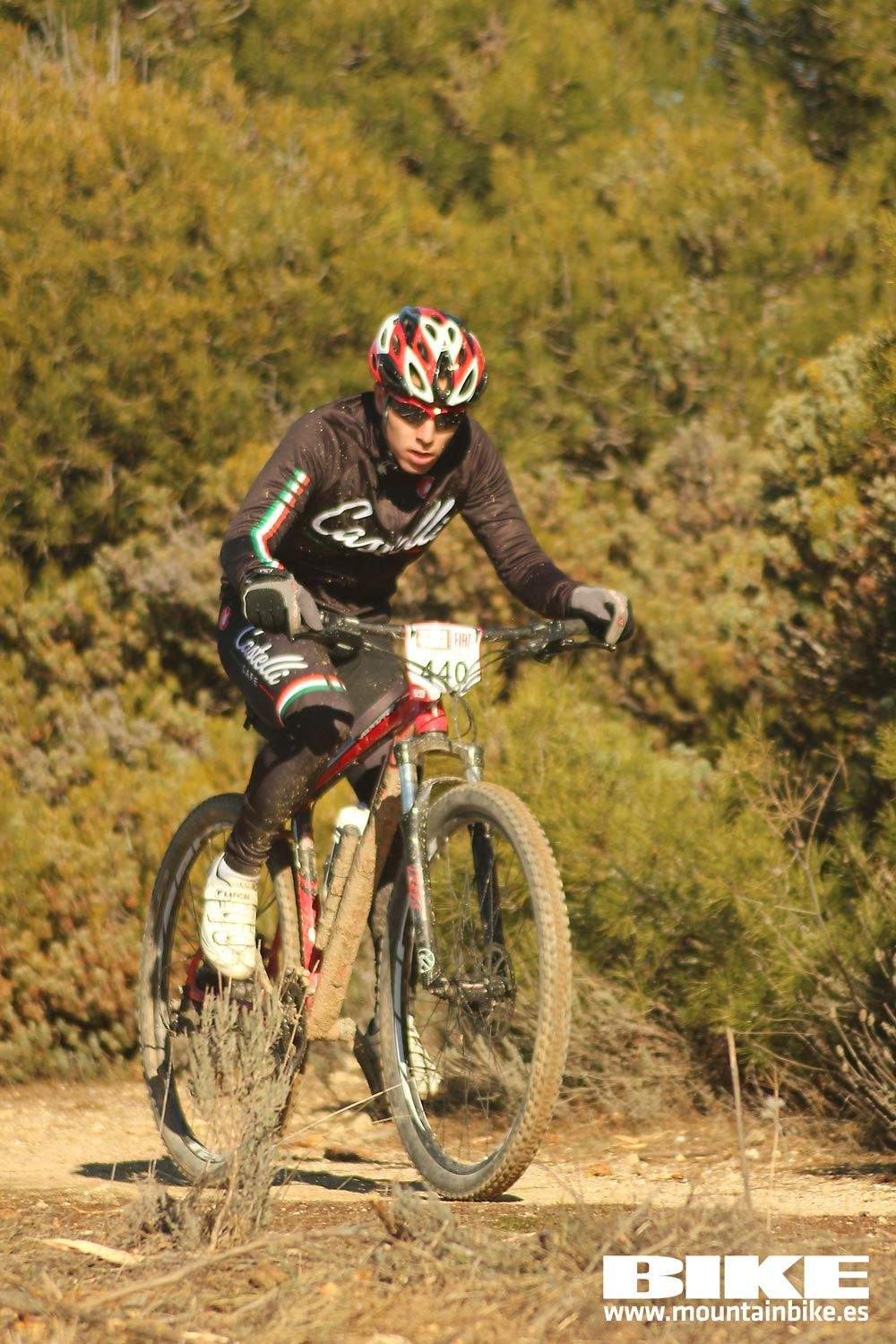 Valdemorillo 2015 Galeria 1
