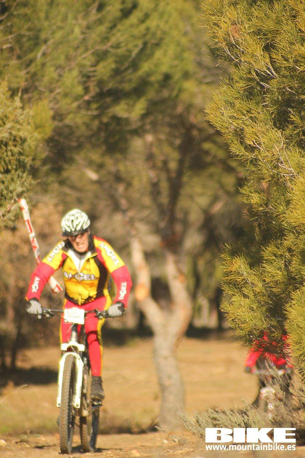 Valdemorillo 2015 Galeria 1