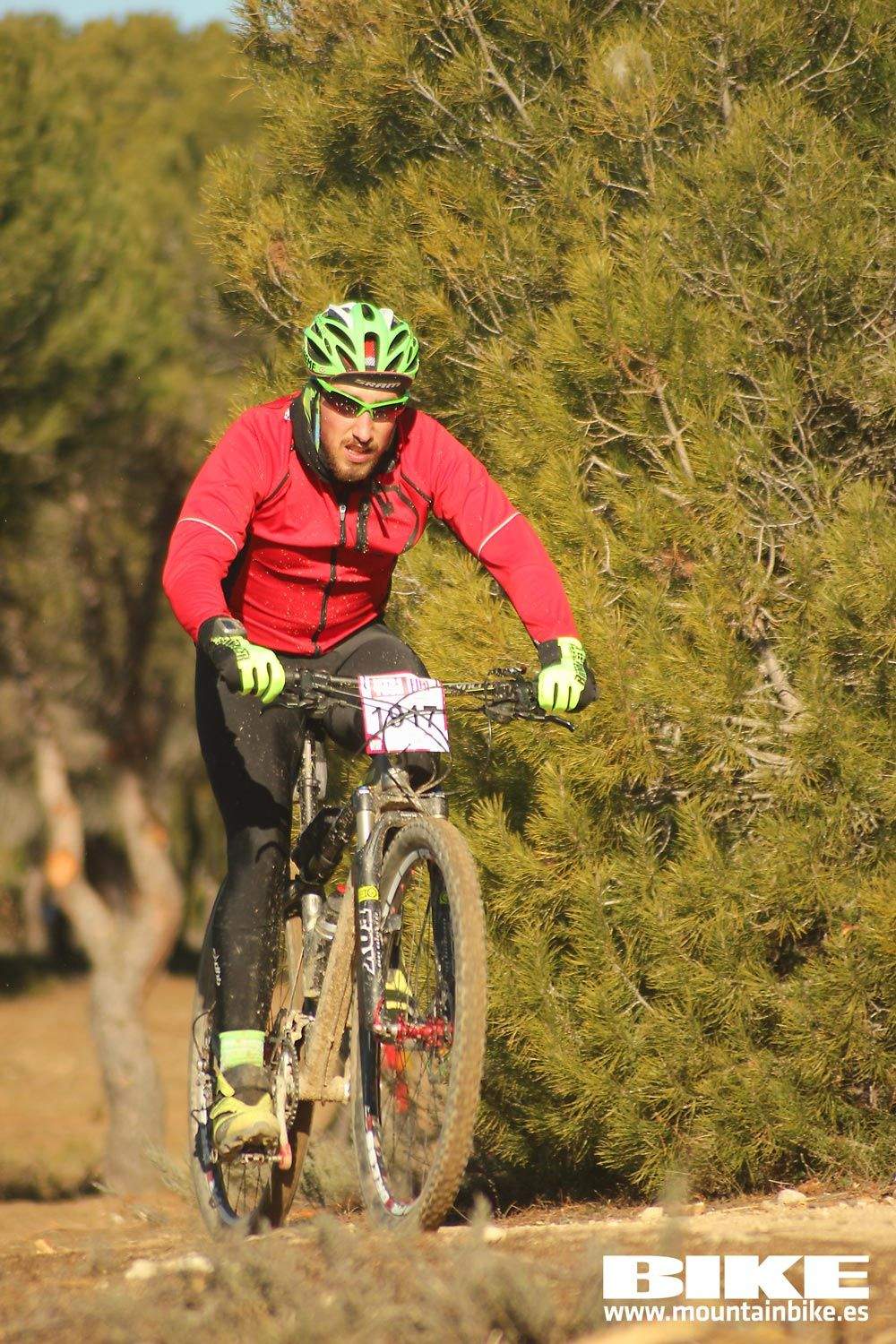 Valdemorillo 2015 Galeria 1