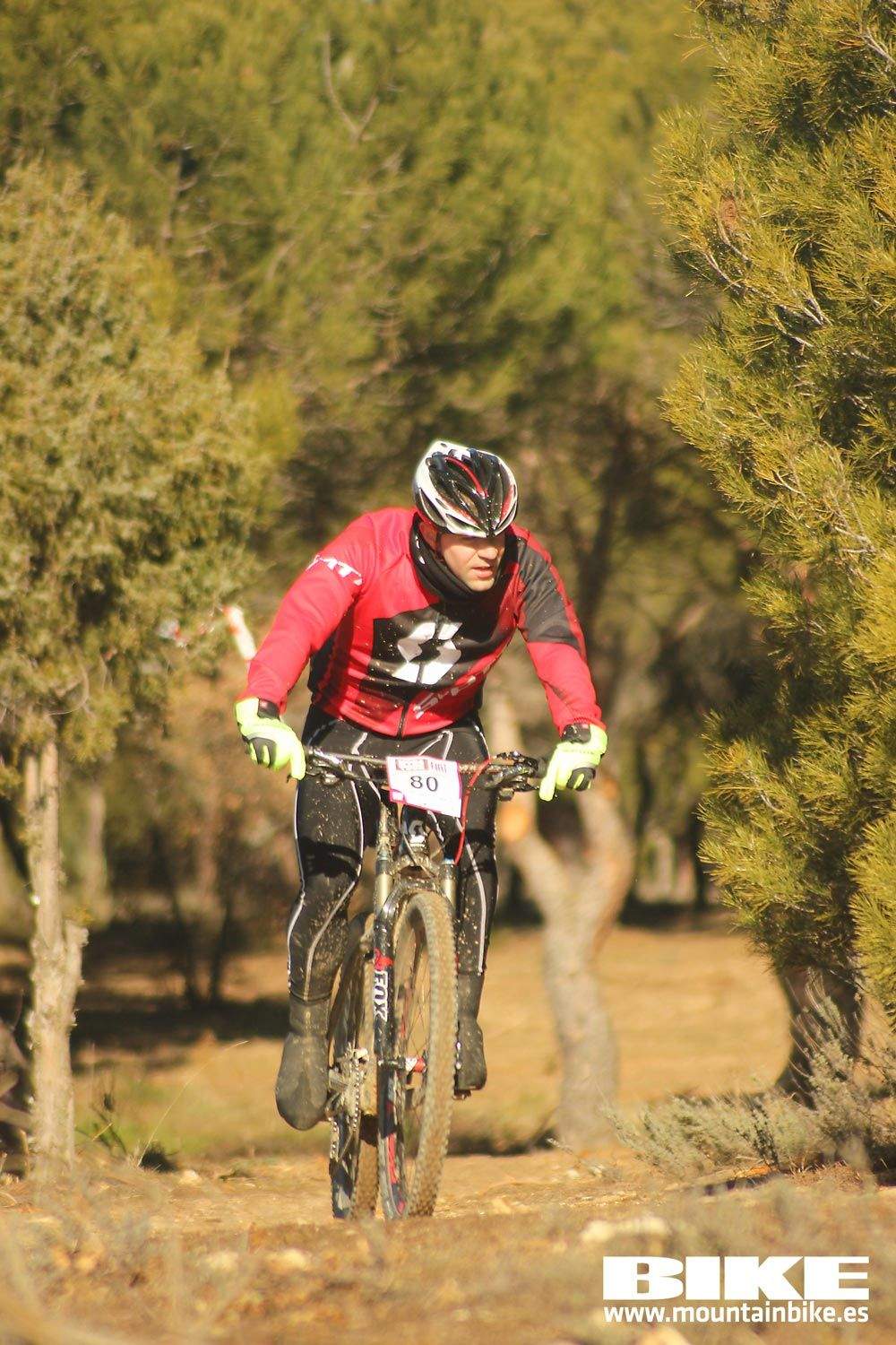 Valdemorillo 2015 Galeria 1