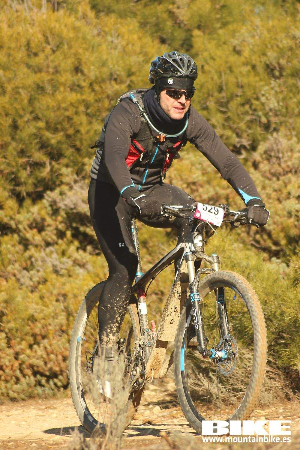 Valdemorillo 2015 Galeria 1