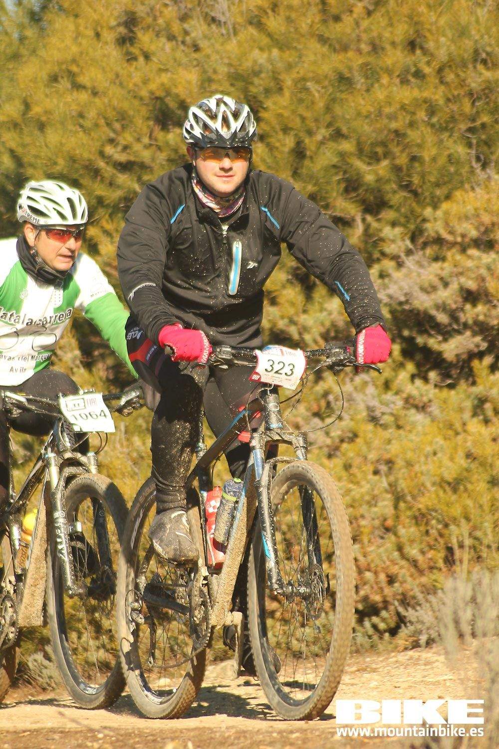 Valdemorillo 2015 Galeria 1