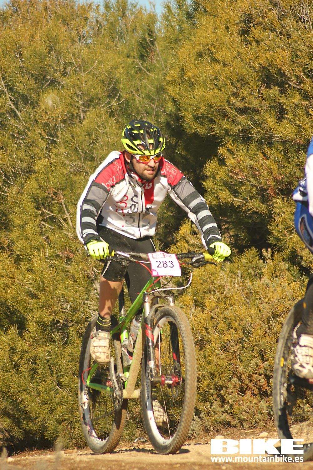 Valdemorillo 2015 Galeria 1