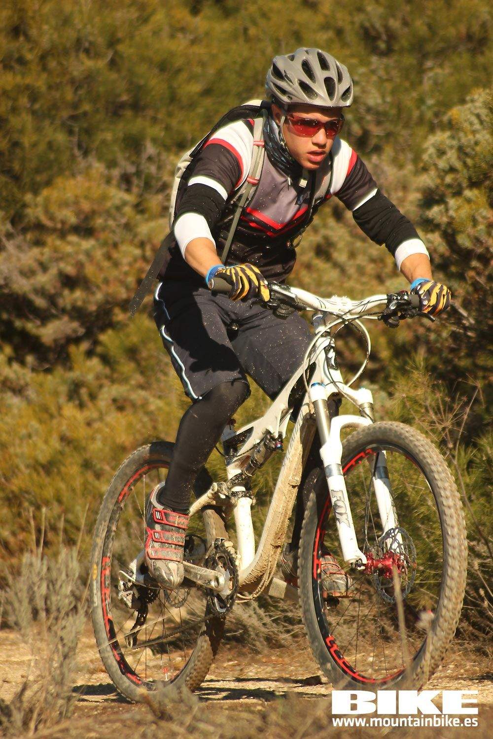 Valdemorillo 2015 Galeria 1