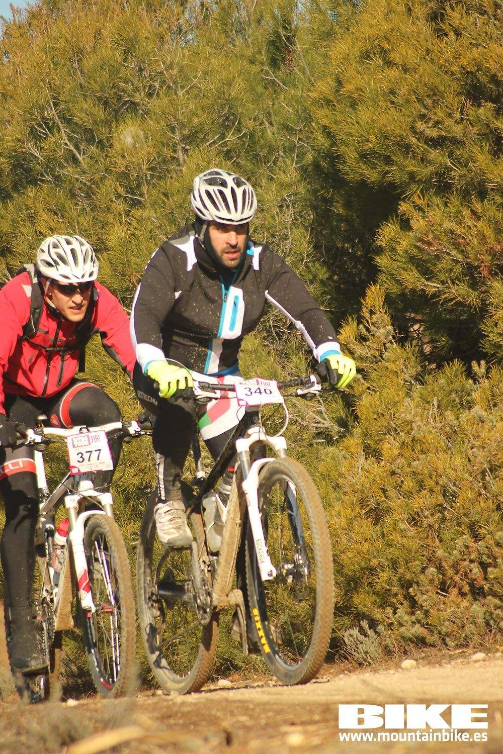 Valdemorillo 2015 Galeria 1