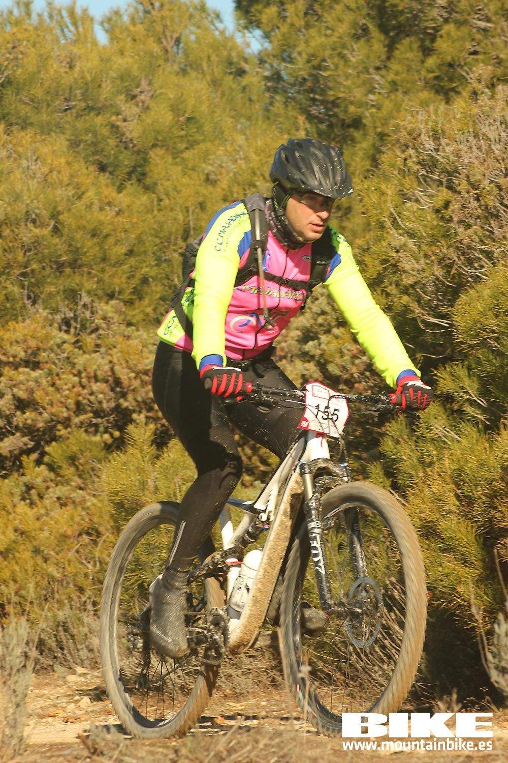 Valdemorillo 2015 Galeria 2