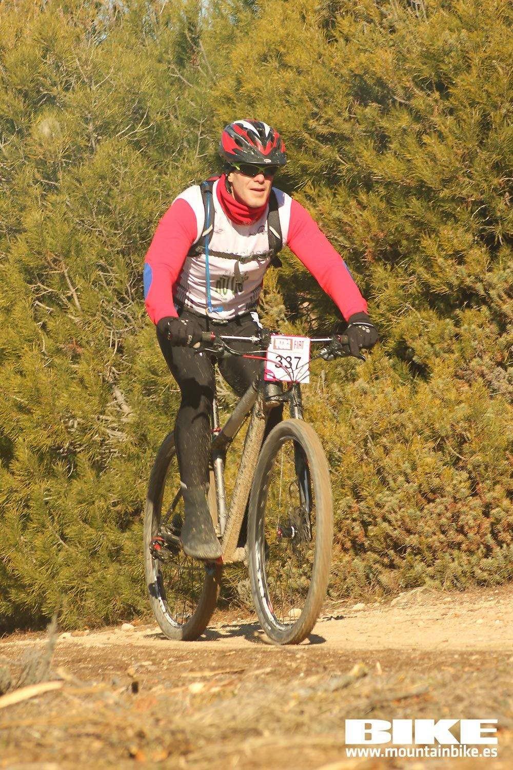 Valdemorillo 2015 Galeria 2