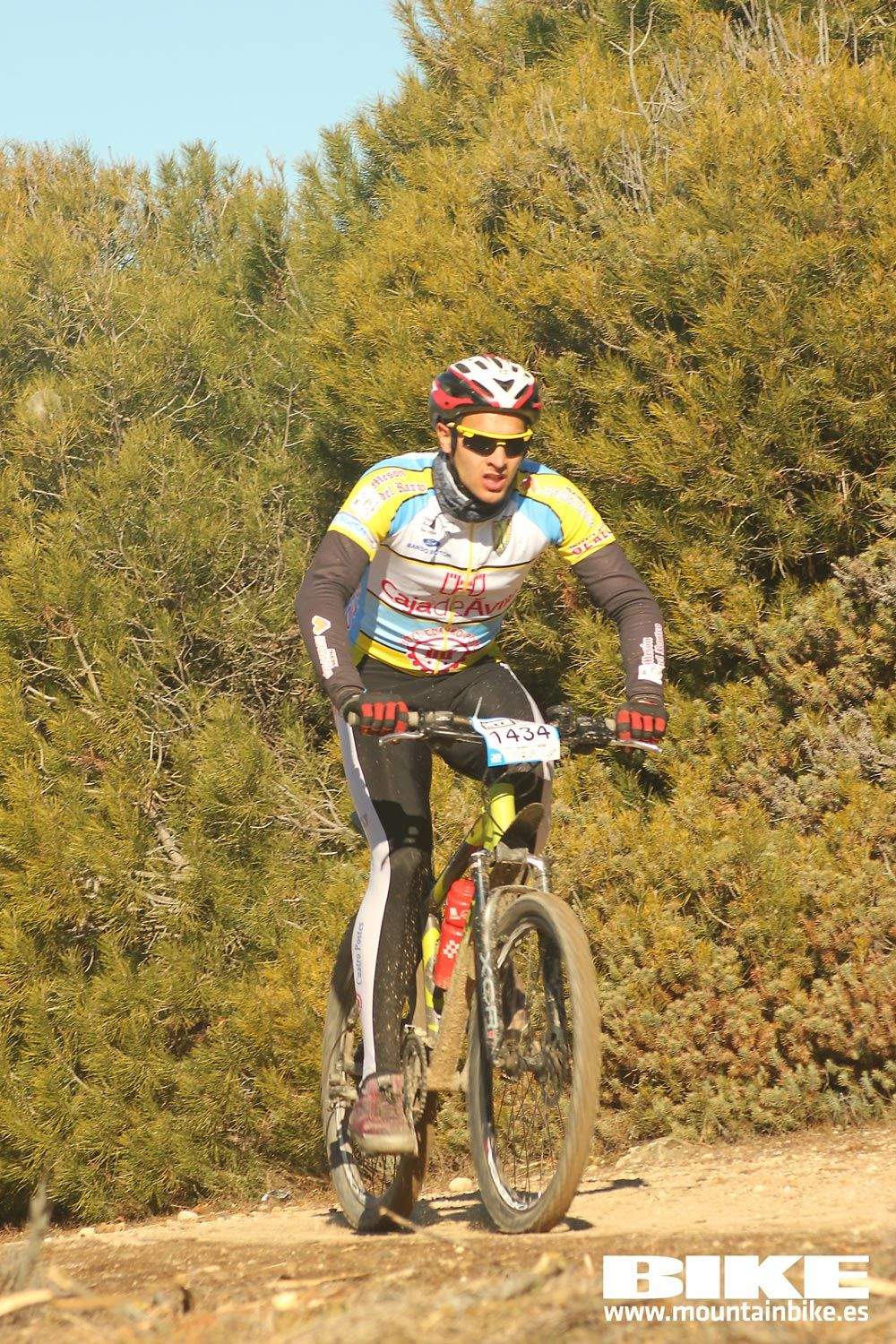 Valdemorillo 2015 Galeria 2