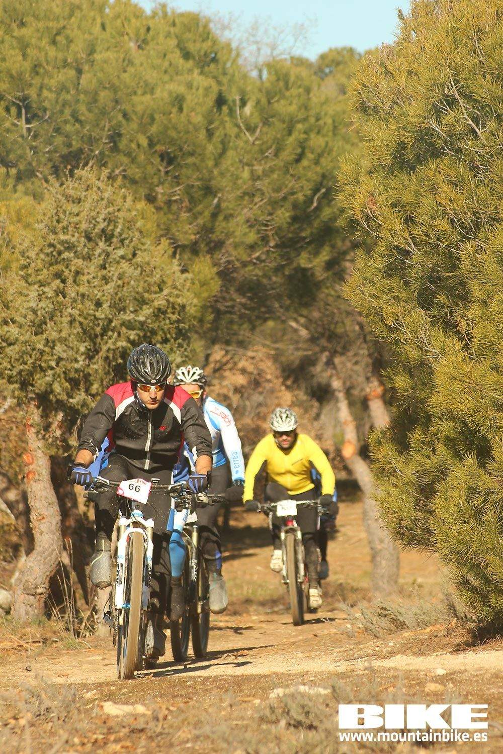Valdemorillo 2015 Galeria 2