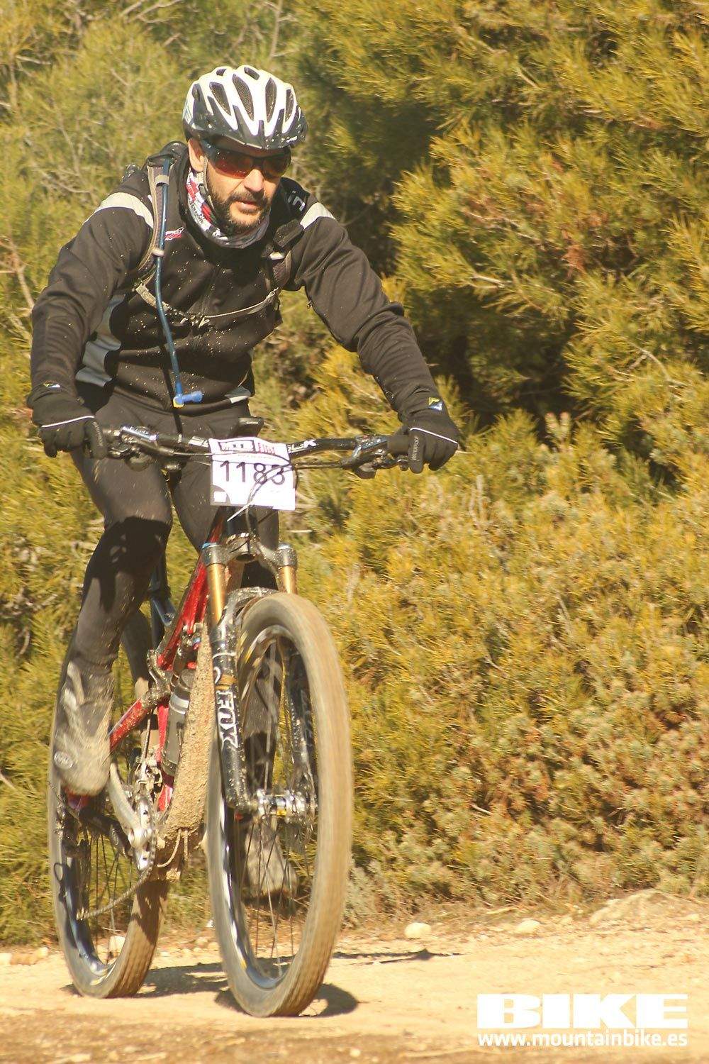 Valdemorillo 2015 Galeria 2