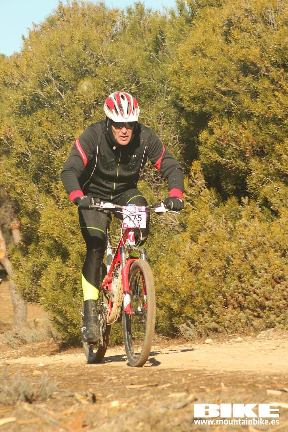 Valdemorillo 2015 Galeria 2