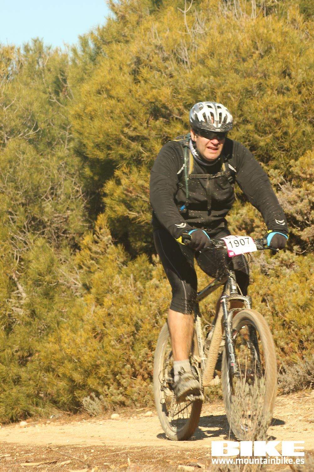 Valdemorillo 2015 Galeria 2