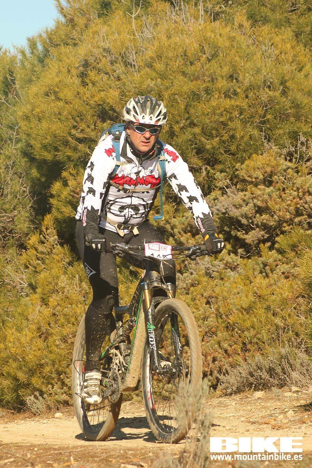 Valdemorillo 2015 Galeria 2