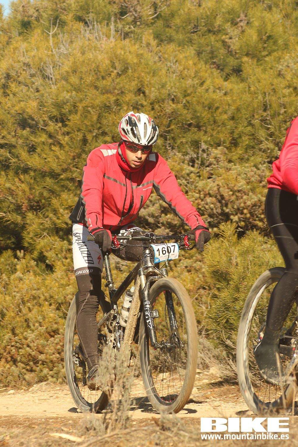 Valdemorillo 2015 Galeria 3