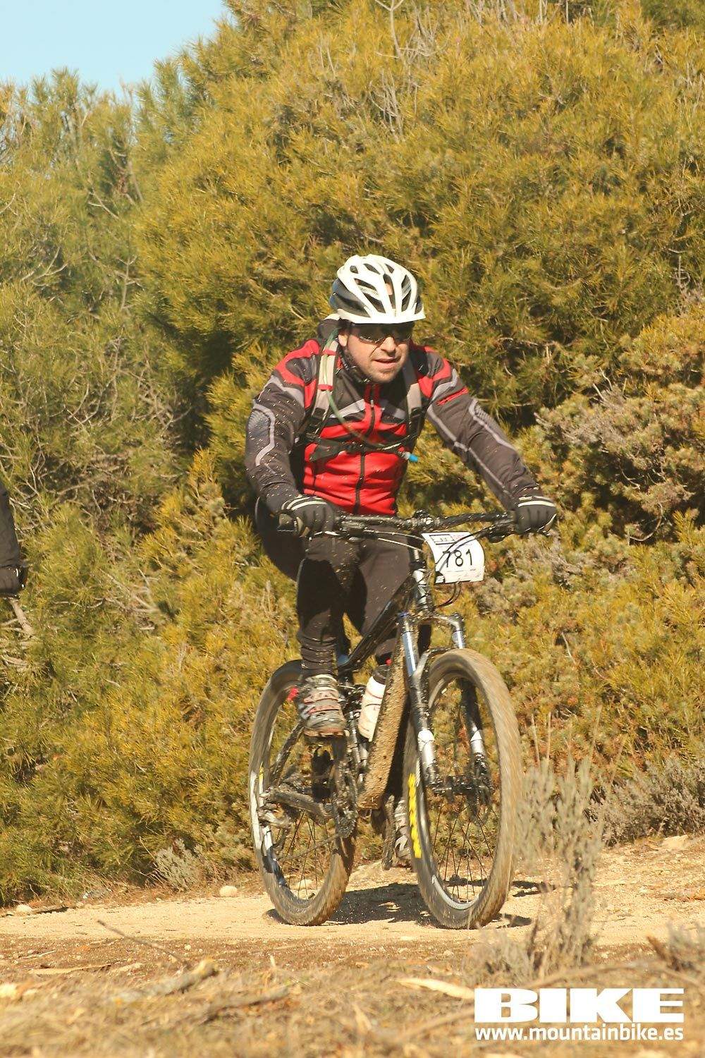 Valdemorillo 2015 Galeria 3