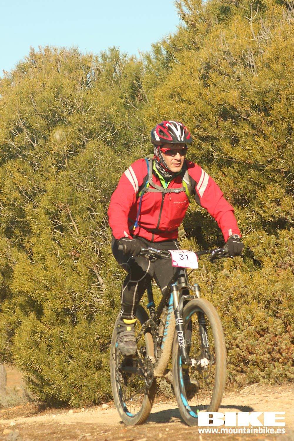 Valdemorillo 2015 Galeria 3